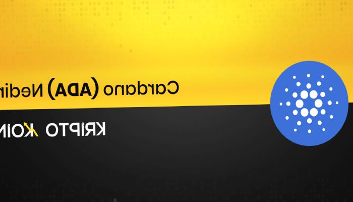 Cardano Nedir? ADA Ne İşe Yarar?