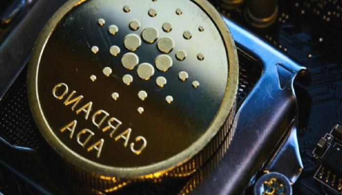 Cardano Vasil Hard Fork Yükseltmesinde Gecikme Olmayacak