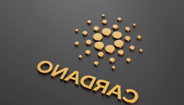 Cardano ve MATIC İçin 10 Kritik Gelişme: İşte Detaylar!