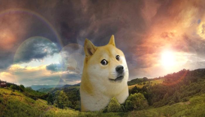 Dogecoin Fiyatını Fırlatan Dogechain Nedir?