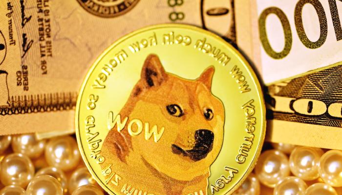 Dogecoin Milyoneri: Pişmanım, Tabanları Satın Alın!
