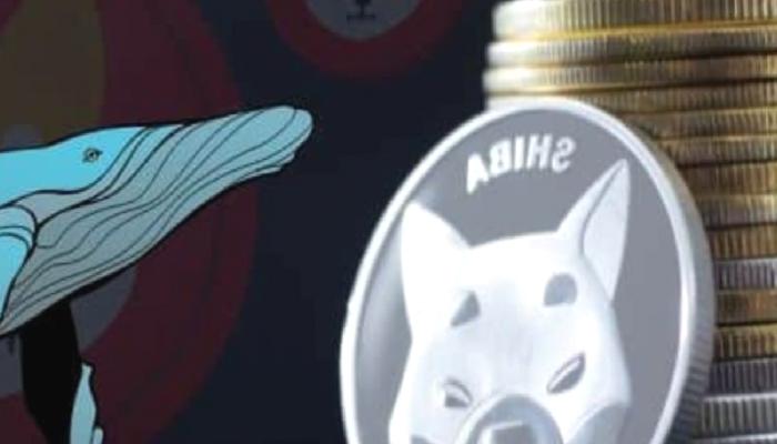 Ethereum Balinaları Neden 37,3 Milyon Dolarlık Shiba Inu Sattı?