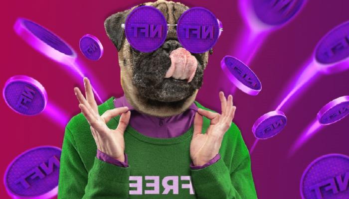 Fiyatsız NFT Tokenler Hakkında Bilmeniz Gereken 5 Şey!