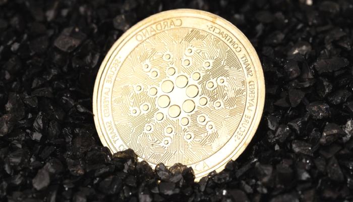 Hoskinson, Cardano’nun Güncellemesi Hakkında Konuştu