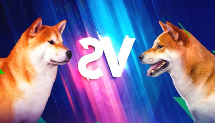 Kıymetli Kestirimler Çıktı: SHIB ve DOGE Nereye Gidiyor?  