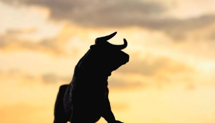 Kripto Para Milyarderi: Bu Altcoin’de Üstün Boğayım!
