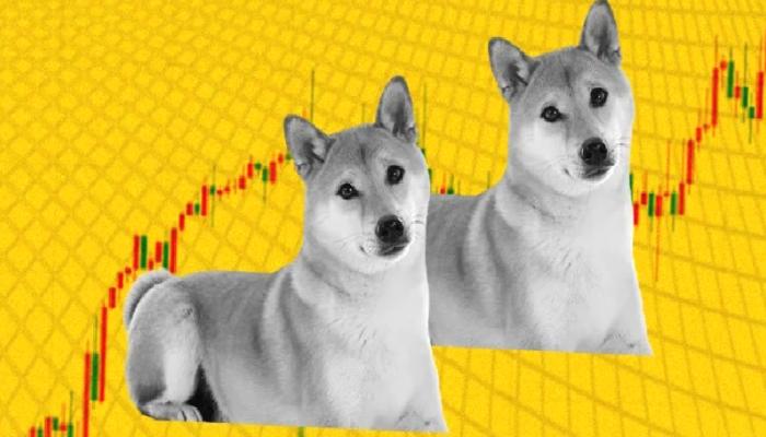 Metrikler Konuşuyor: SHIB ve Bu Altcoin Büyük Çıkış Yapabilir!