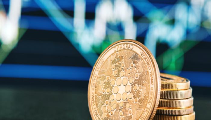 Nam Salan Analist: Cardano ve O 5 Altcoin Patlamaya Hazır!