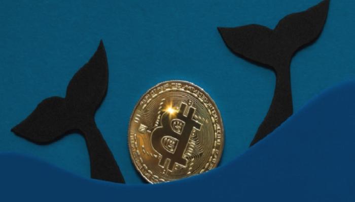 Neler Oluyor? Balinalar Büyük Ölçüde Bitcoin Satıyor!
