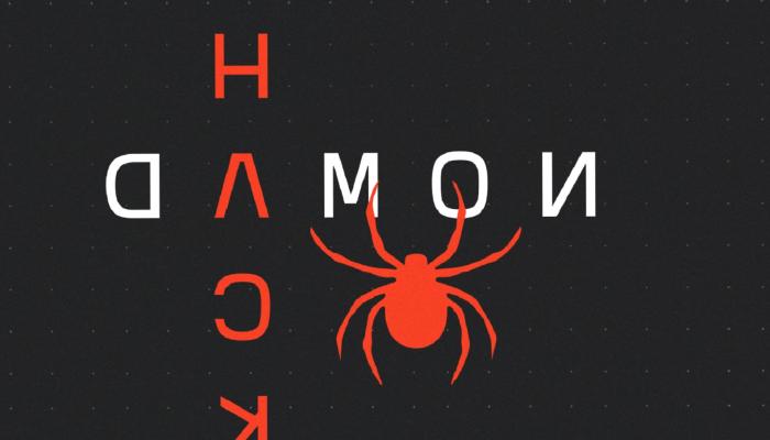 Nomad Hackinden Hoş Haber: Bu 8 Altcoin Kurtarıldı!
