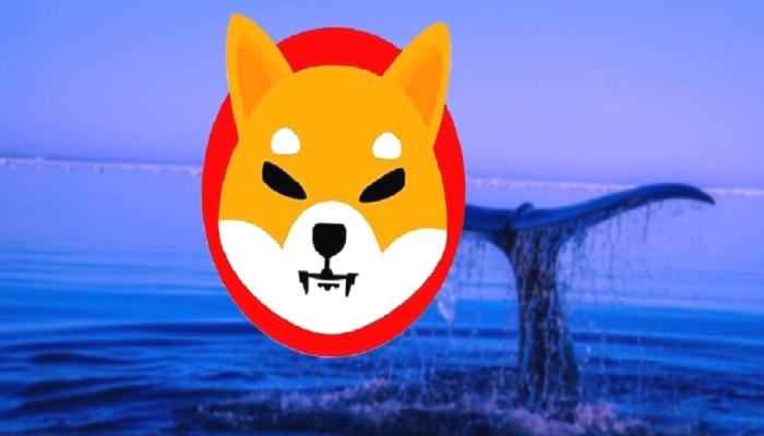 Piyasayı Yönlendiren Balinalar, SHIB ve Bu Altcoin’i Alıyor!