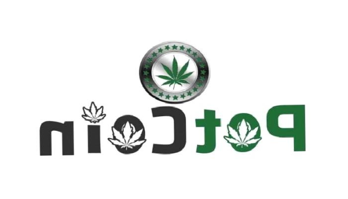 PotCoin Nedir? POT Ne İşe Yarar?