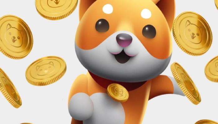 SHIB, BabyDoge ve FLOKI: 3 Büyük Haber Duyuruldu!