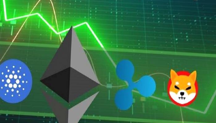 SHIB, Cardano, ETH ve Ripple İçin 4 Kritik Gelişme Var! 