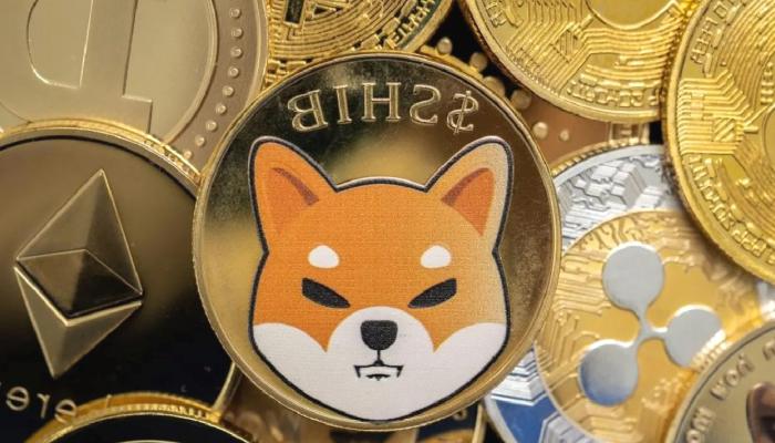 SHIB En Kârlı Coinler Ortasında: İşte Ayrıntılı Liste!