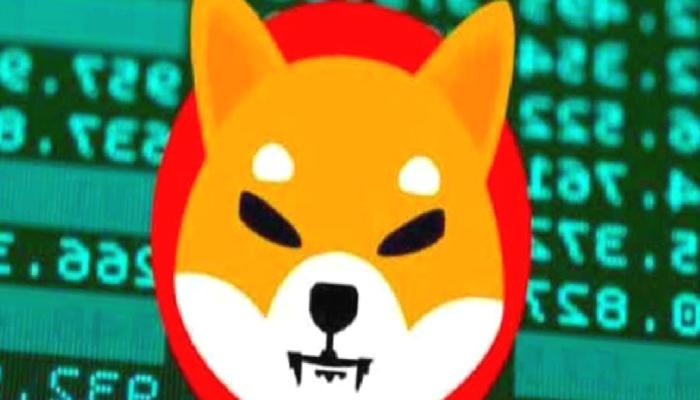 SHIB İçin Kritik Saatler Başladı: İşte Beklentiler ve Grafik!