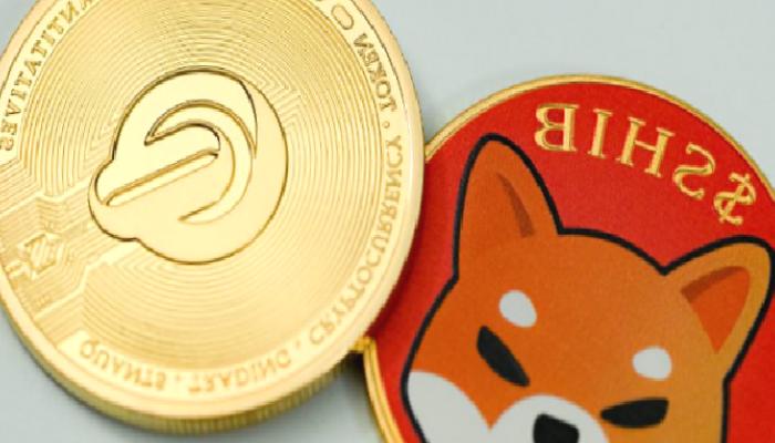 SHIB İşlemleri 15 Aylık Mühletten Sonra Toparlandı
