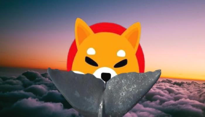 SHIB Satan Balinalar, Bu Altcoin’leri Almaya Başladı!