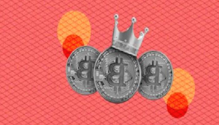 SHIB ve Bu 8 Altcoin’i Not Alın: 2023’ün Yıldızı Olabilirler!