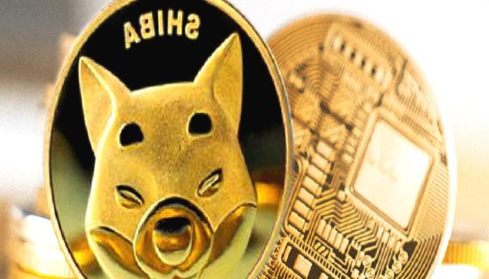 SHIB ve Bu 9 Altcoin’e Akın Var: Akıllı Para Geliyor!