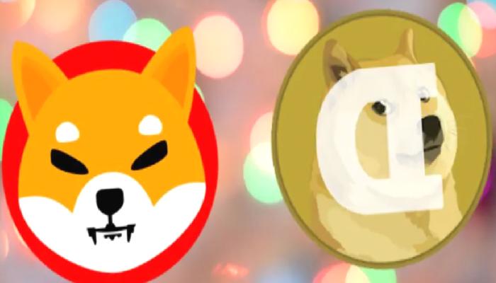 SHIB ve DOGE Milyonerlerinin Sepetinde Bu Altcoinler Var!