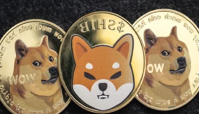 SHIB ve DOGE’da Farklı Hareketler: Analistler Hedef Koydu!
