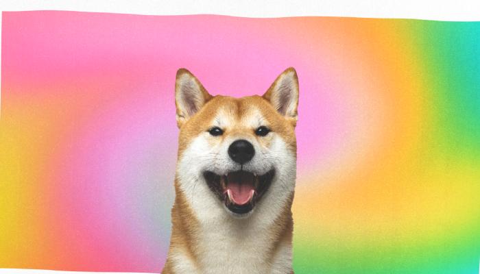 Shiba Inu İçin Değerli Duyuru: Tarih de Verildi!