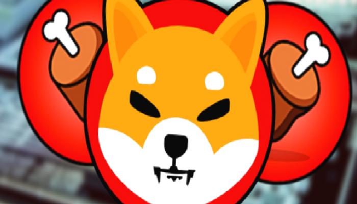 Shiba Inu Mucidi: Bu Altcoin’e bakın! Uyanıyor