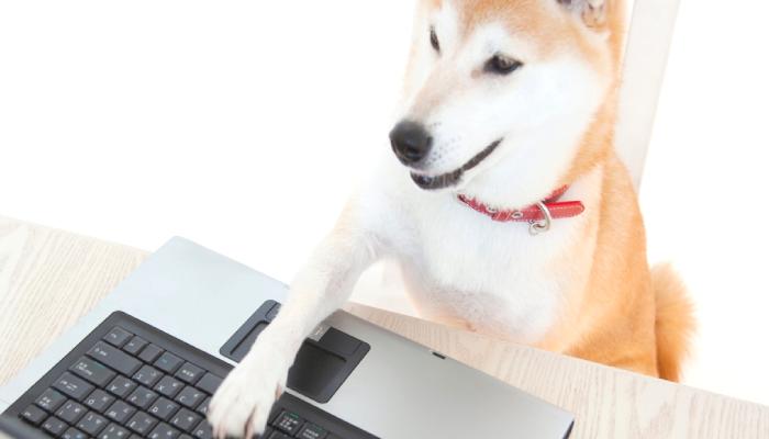Shiba Inu Mucidi, Yaklaşan SHIB Gelişmesini Açıkladı!