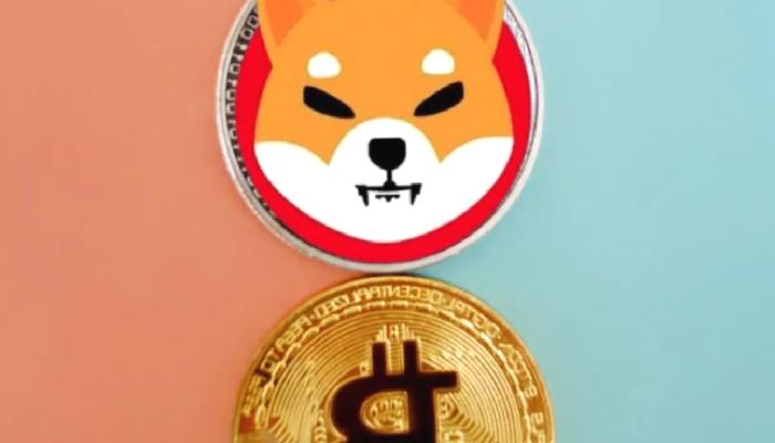 Shiba Inu ve Bitcoin: Haftaya Bu Düzeyler Görülebilir!