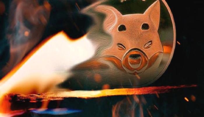 Shiba Inu Yakımı Yapan Yeni Web Sitesi: Playzone
