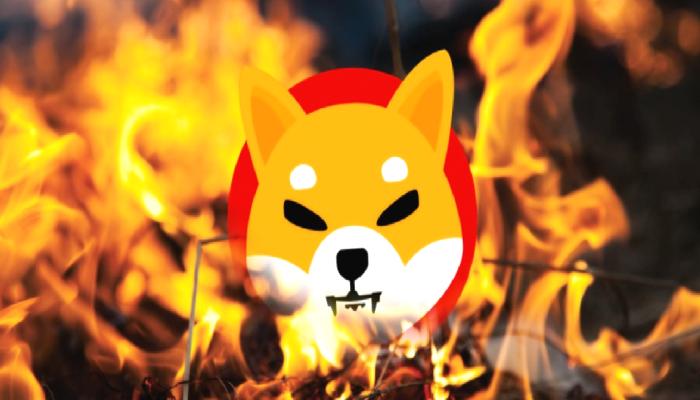 Shiba Inu’nun Yakım Oranı Yüzde 15 Düştü