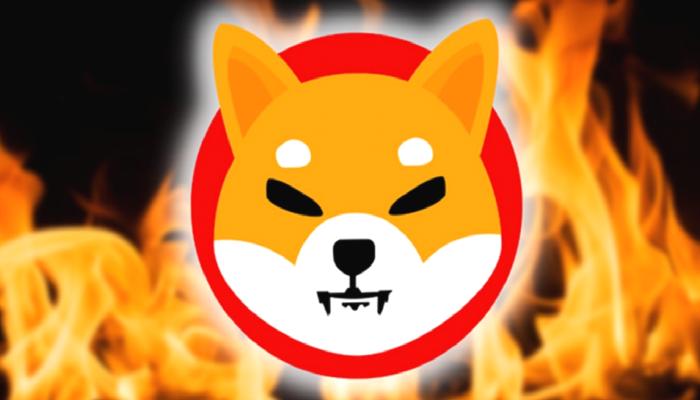 Shiba Inu’nun Yakım Oranı Yüzde 40 Düştü