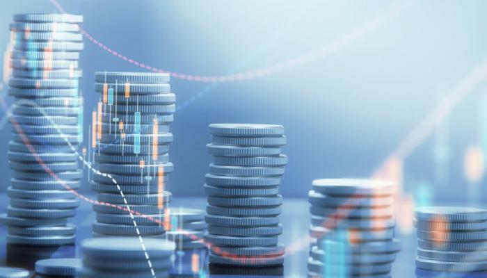 Son Bitcoin Düşüşünde Türkler Bu Altcoin’lere Sığındı!