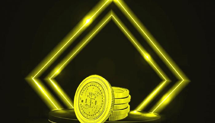 Ünlü CEO: Bu Altcoin Dünyanın En Pahalı Varlığı!