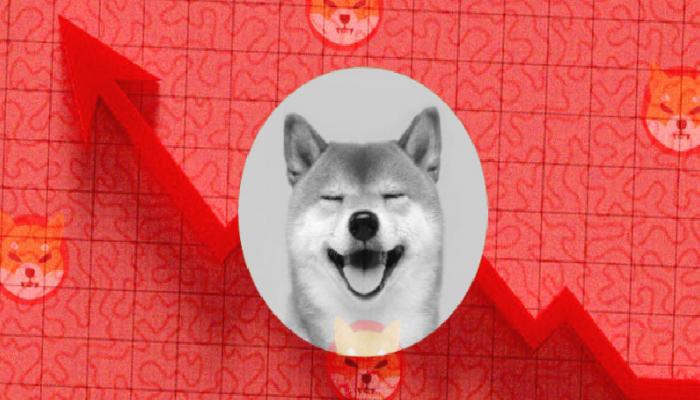 Ünlü Ekonomistten Shiba Inu Öngörüsü: Yeni Başlıyor!