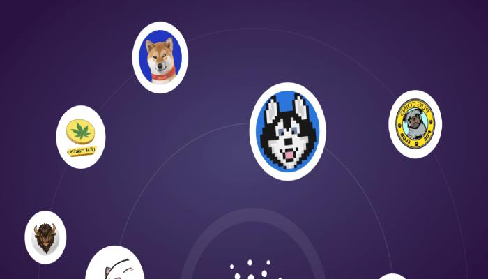 Ünlü Milyarder: Bu Meme Coin, Cardano’dan Daha İyi!