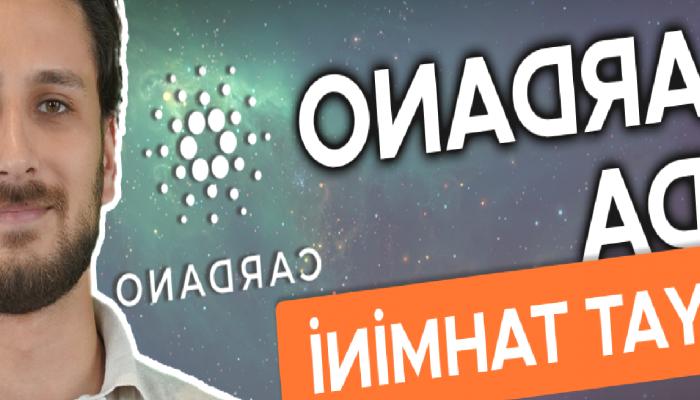 Vasil Hard Fork Ne Vakit Olacak, Cardano Fiyat Varsayımı