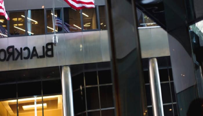 Wall Street Devinin Duyurusuyla Fırladı: Balinalar O Altcoin’i Almıyor!