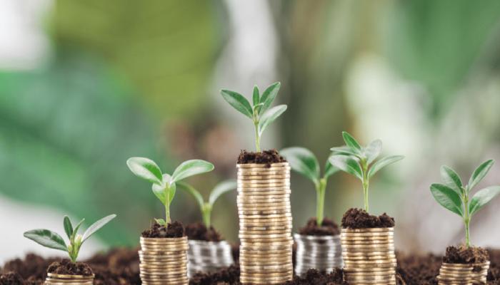 Yarın Bu 9 Altcoin İçin Büyük Gün: İşte Olacaklar!
