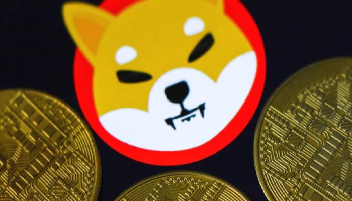 Analist Aldığı ve Fırlayacak Altcoin’leri Paylaştı: SHIB de Var!