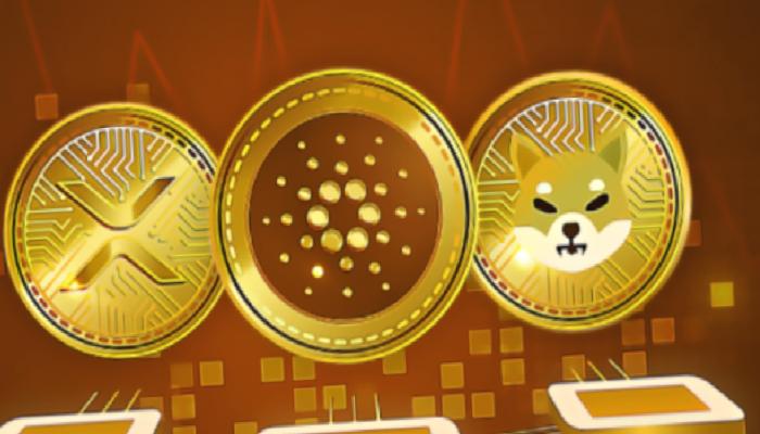 Aralık Kestirimleri: SHIB, ADA ve XRP Bu Düzeylerde Olabilir!