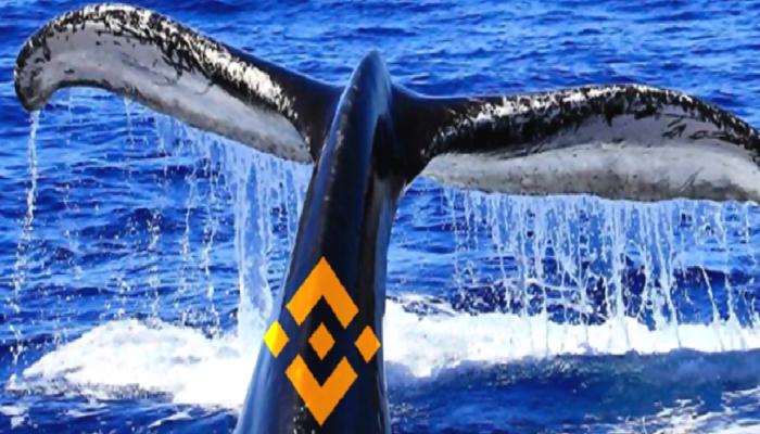 Balina, Binance’e Bu Altcoin’den Yüklüce Boşalttı! Neler Oluyor?