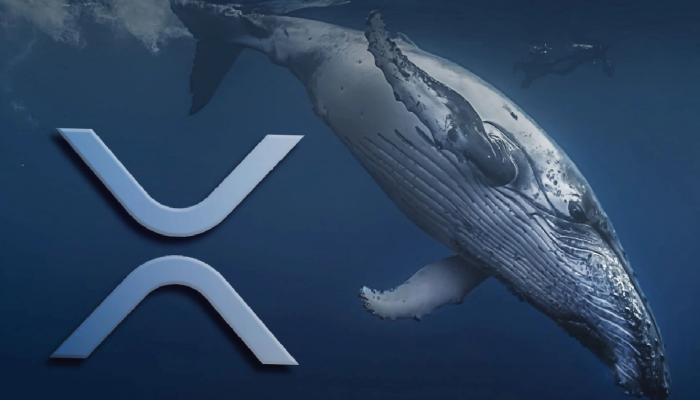 Balina Hareketliliği: Bu Altcoin Patlayıcı Ralli Görebilir!
