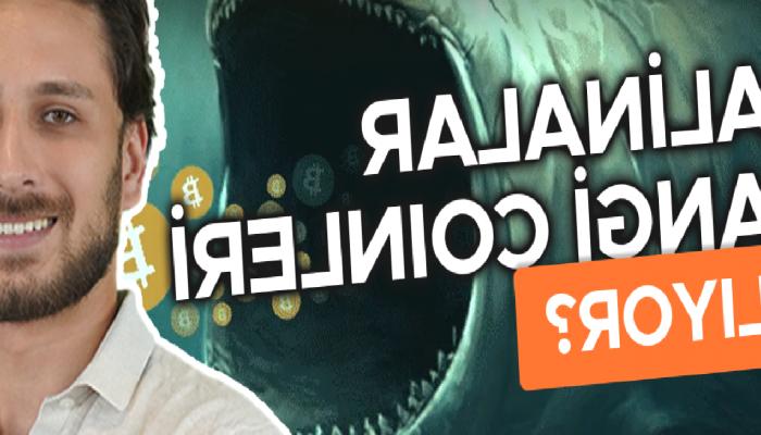 Balinalar Düşüşü Fırsata Çeviriyor, Balinalar Nasıl Bir Strateji İzliyor?