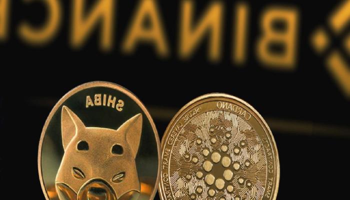 Binance SHIB, Cardano ve Bu Altcoin’ler İçin Muştuyu Verdi!