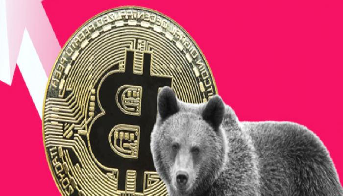Bitcoin Ayı Piyasası Ne Vakit Bitecek? İşte Tarihli Analiz!