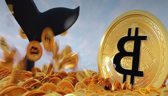 Bitcoin Balinaları Bu Düzeyde Pusuda: BTC Satacaklar!