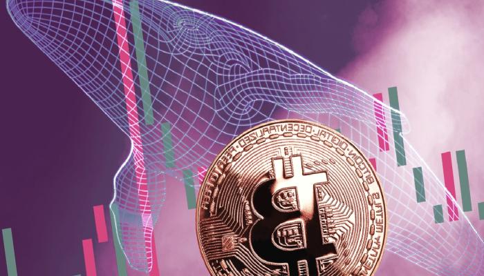 Bitcoin Balinası, BTC’de 68 Bin Dolar İçin Tarih Verdi!