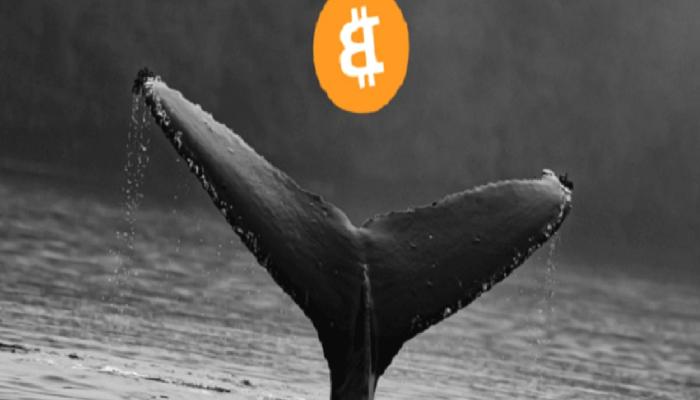 Borsalara 200 Bin Üzerinde Bitcoin Boşaltıldı! Balina Kim?